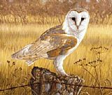 Unknown Artist owl painting